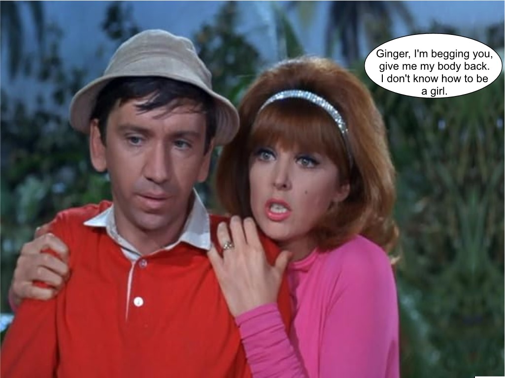 Gilligan's Island 14